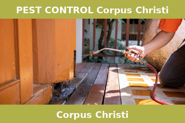 PEST CONTROL Corpus Christi